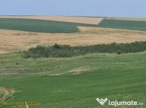 Teren Extravilan Aroneanu, ID: R2577828 