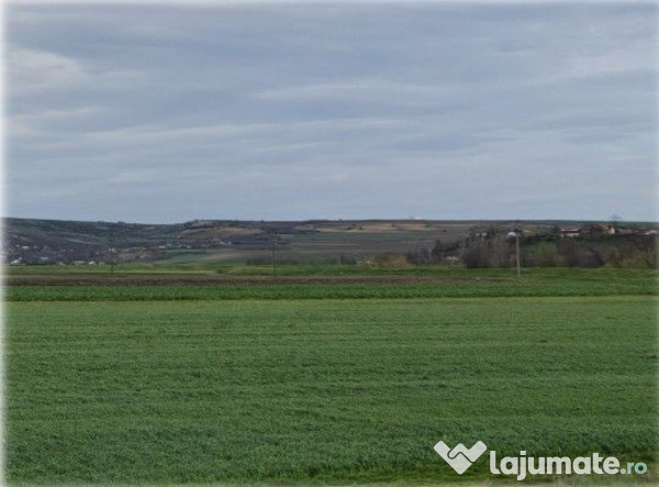 Teren Andrieseni, cota parte 1/20, ID: R2603082 