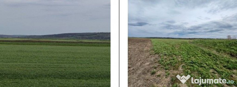 Teren Andrieseni, cota parte 1/20, ID: R2603082 