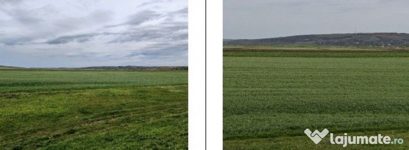 Teren Andrieseni, cota parte 1/20, ID: R2603082 