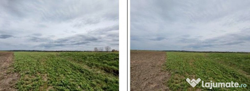 Teren Andrieseni, cota parte 1/20, ID: R2603082 