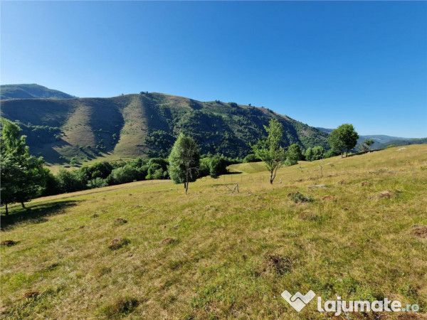 RECO teren extravilan Remeti 