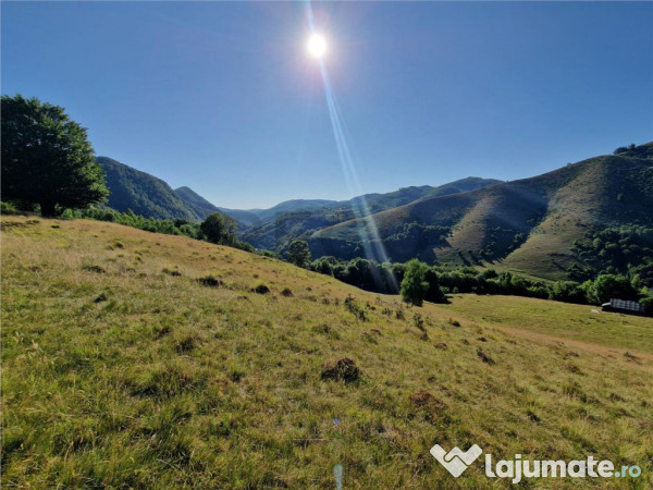 RECO teren extravilan Remeti 