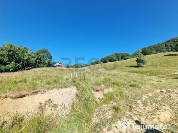 RECO teren extravilan Remeti 