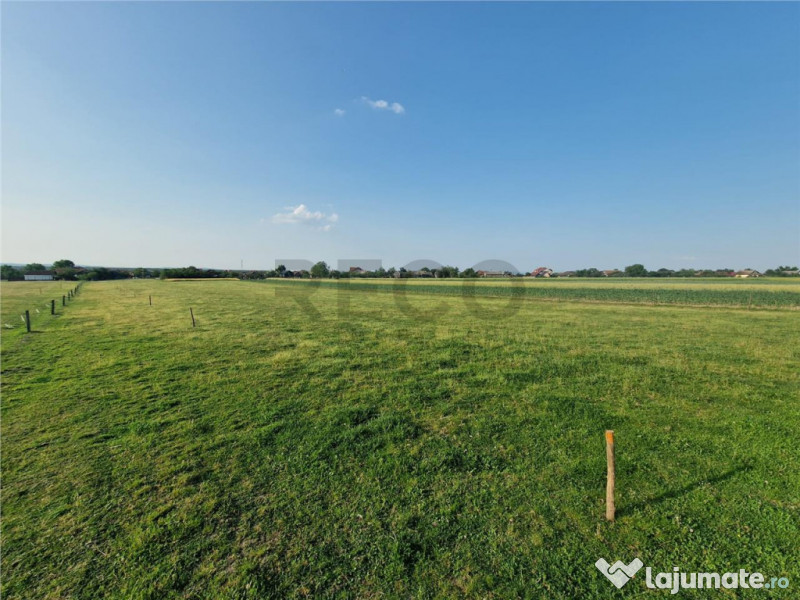 RECO parcele in Felcheriu 