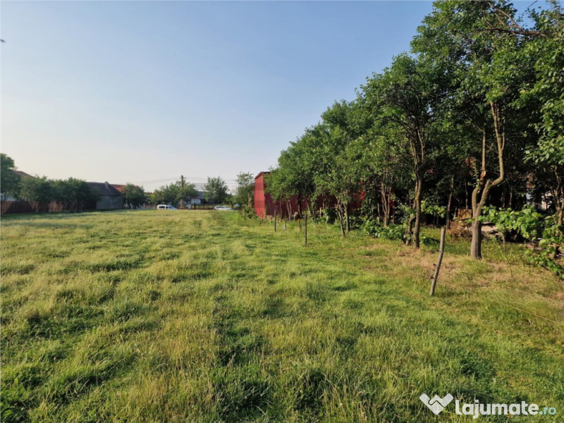 RECO parcele in Felcheriu 