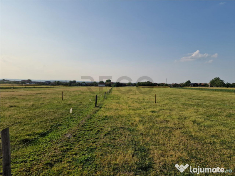 RECO parcele in Felcheriu 