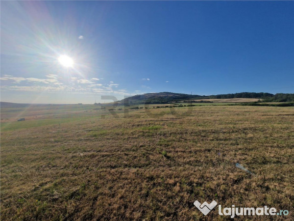 RECO teren extravilan Betfia 