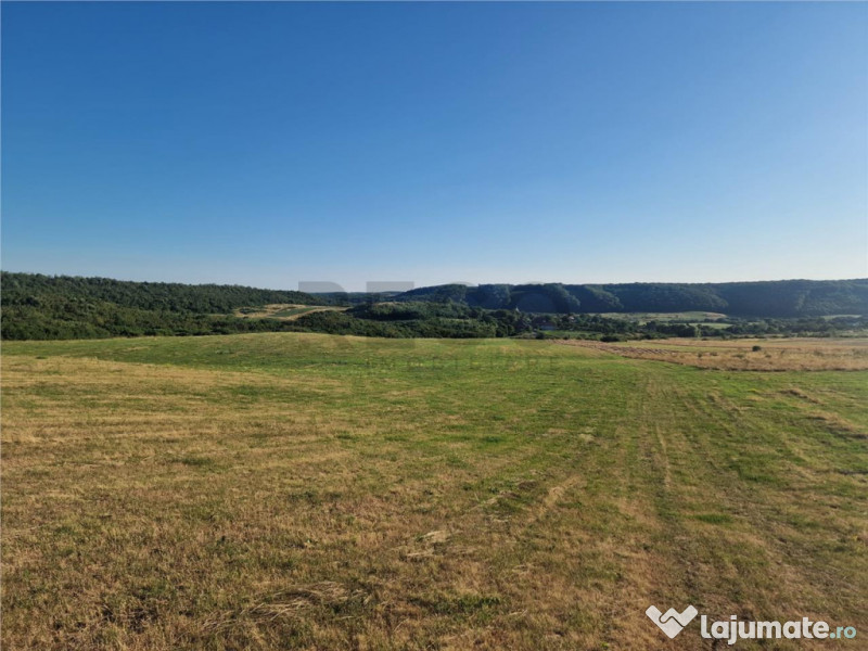 RECO teren extravilan Betfia 