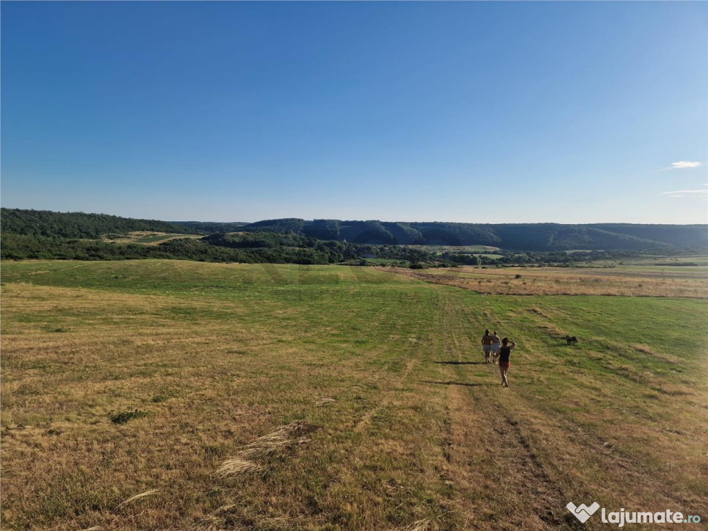 RECO teren extravilan Betfia 