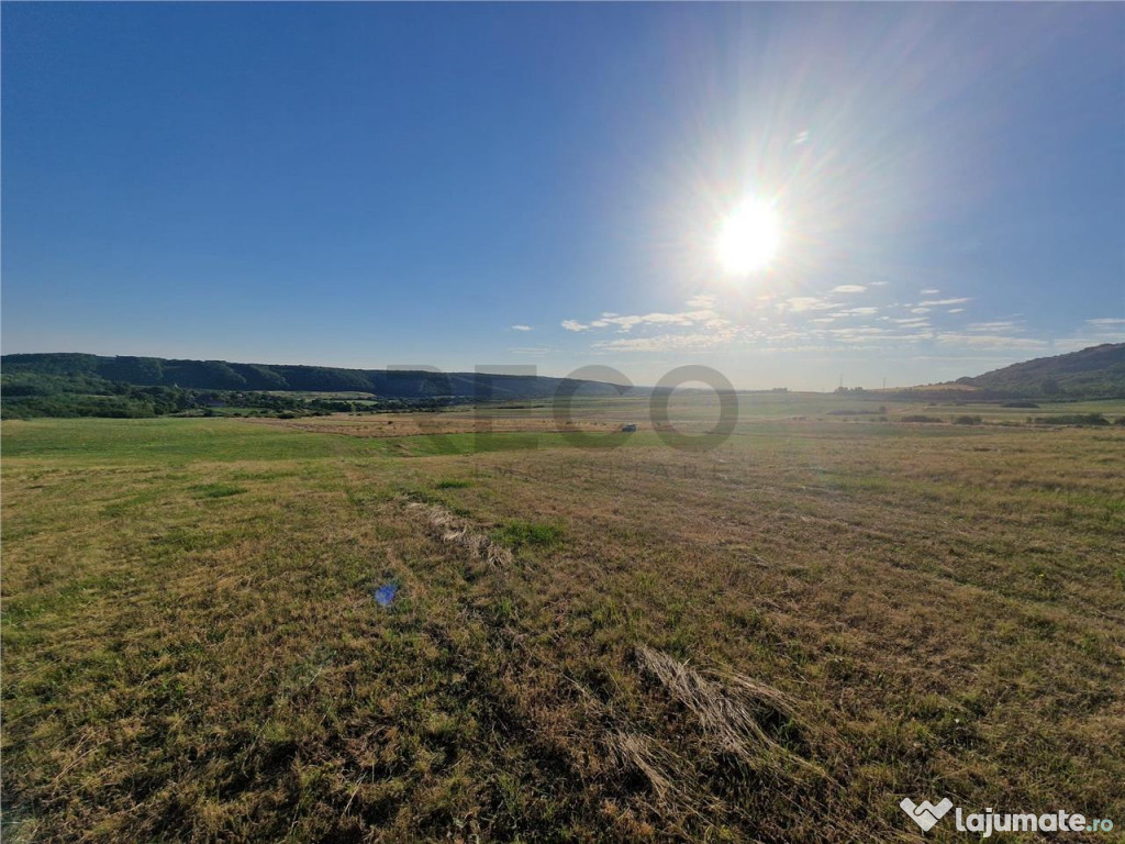 RECO teren extravilan Betfia 