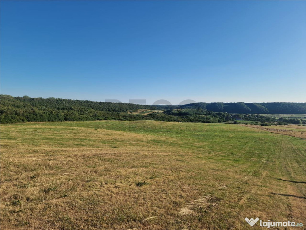 RECO teren extravilan Betfia 