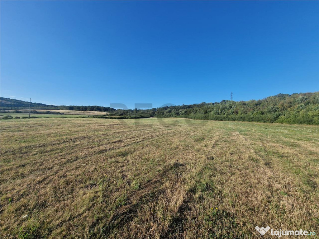 RECO teren extravilan Betfia 