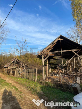 Reco Casa 3 camere si teren 2600mp in Burzuc 