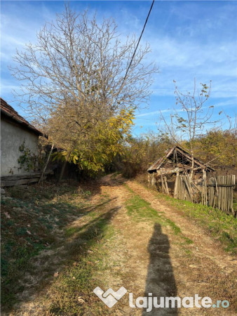 Reco Casa 3 camere si teren 2600mp in Burzuc 