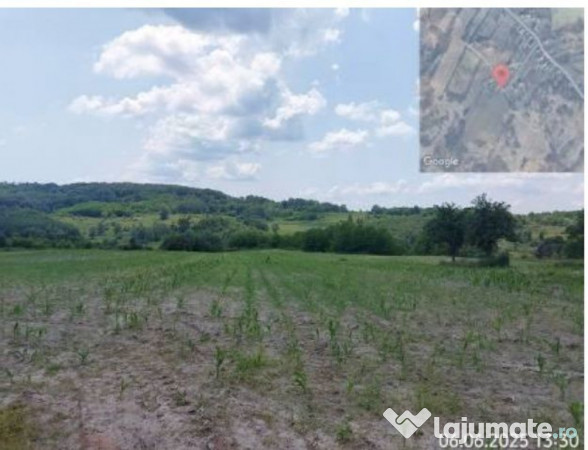 Teren extravilan loc. , Jud Gorj 