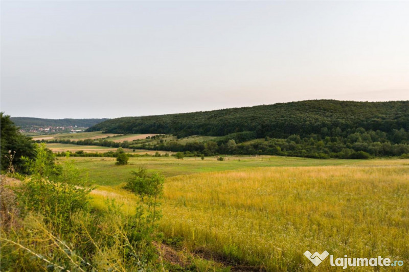 RECO Teren extravilan 11500 mp -Lazareni 