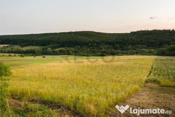 RECO Teren extravilan 11500 mp -Lazareni 