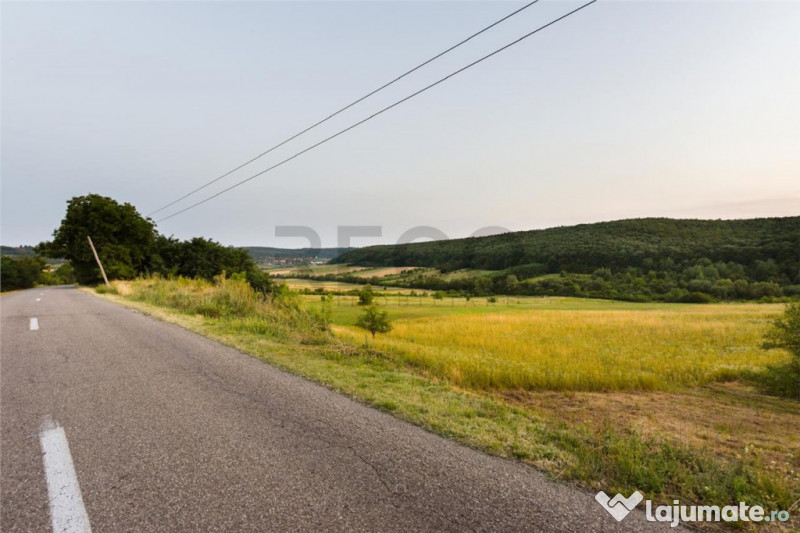 RECO Teren extravilan 11500 mp -Lazareni 