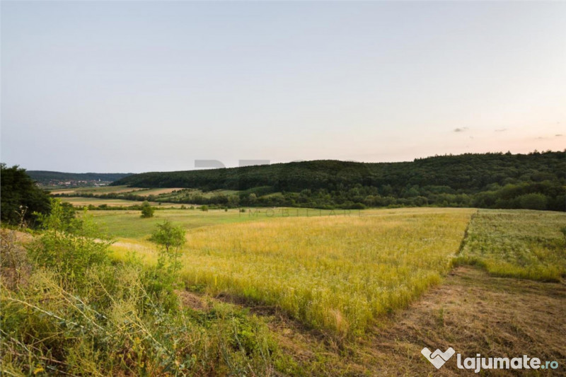 RECO Teren extravilan 11500 mp -Lazareni 