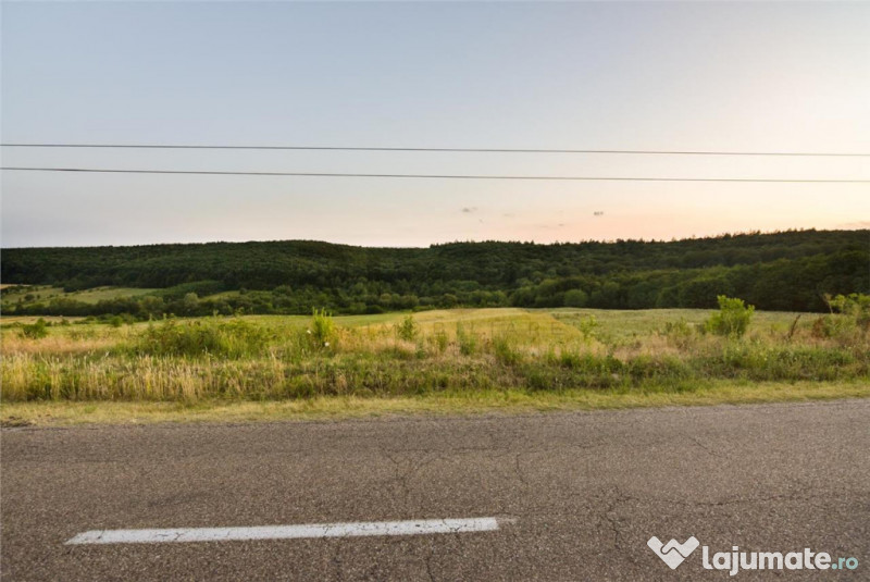 RECO Teren extravilan 11500 mp -Lazareni 