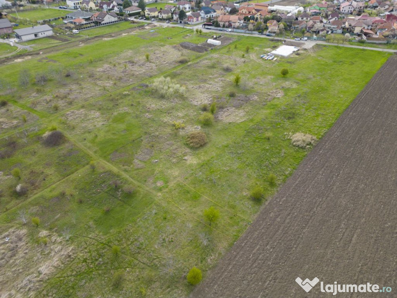 TEren intravilan Gradiste