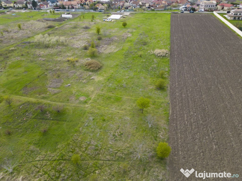 TEren intravilan Gradiste