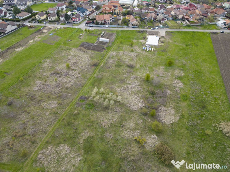 TEren intravilan Gradiste