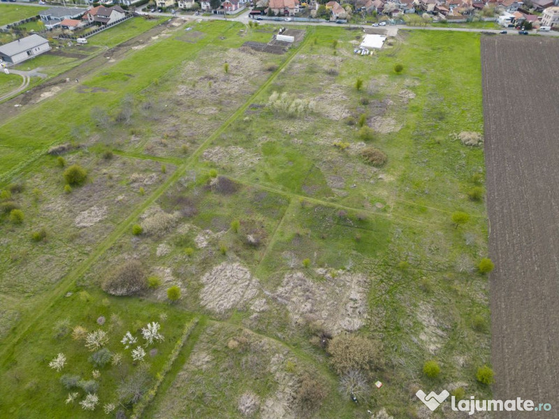 TEren intravilan Gradiste