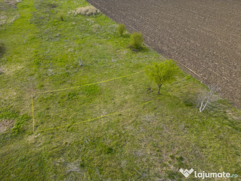 TEren intravilan Gradiste