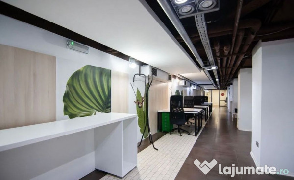 Kiseleff-Piata 1Mai subsol si Parter amenajat si utilat