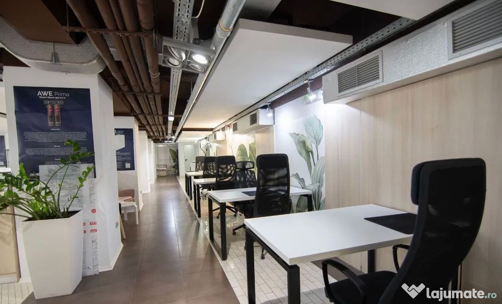 Kiseleff-Piata 1Mai subsol si Parter amenajat si utilat