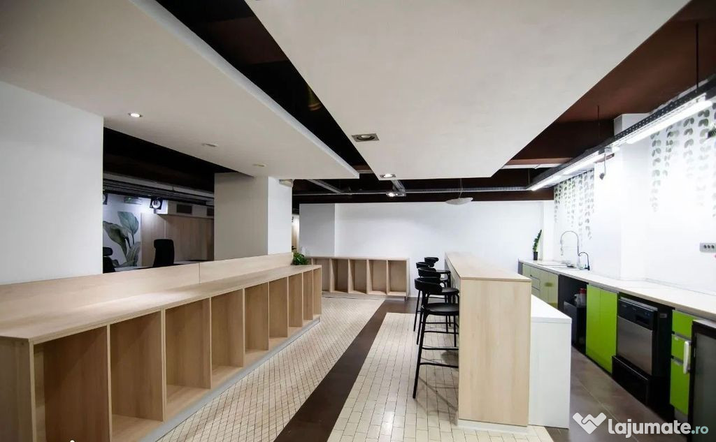 Kiseleff-Piata 1Mai subsol si Parter amenajat si utilat