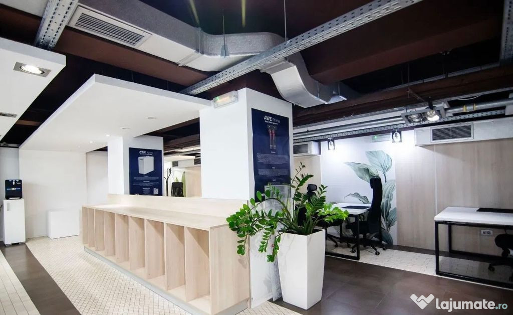 Kiseleff-Piata 1Mai subsol si Parter amenajat si utilat