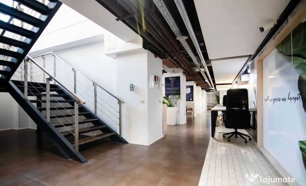 Kiseleff-Piata 1Mai subsol si Parter amenajat si utilat