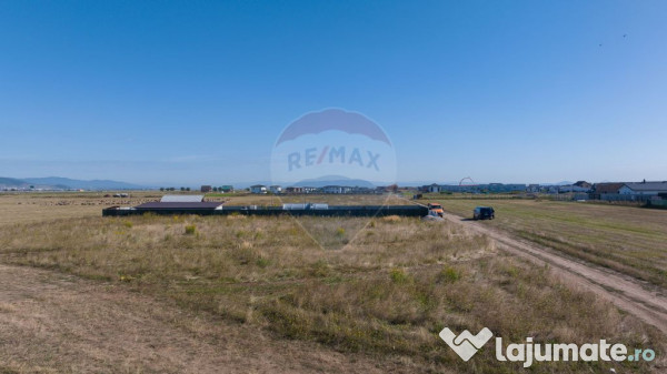Comision 0 %! Teren de vânzare 686 mp, Cristian! 