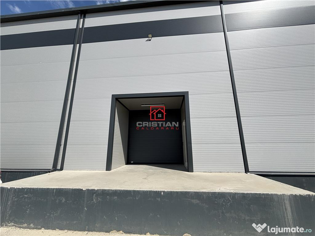 Depozit/hala/spatiu industrial Theodor Pallady - Drumul Int