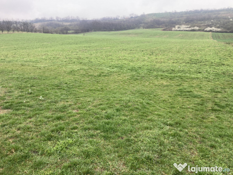Miroslava! Teren agricol 6435, la 2 min de Primarie! 