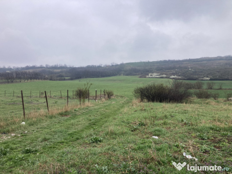 Miroslava! Teren agricol 6435, la 2 min de Primarie! 
