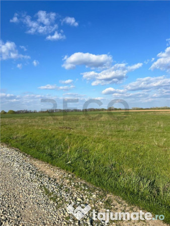 RECO teren de in zona Tarian 