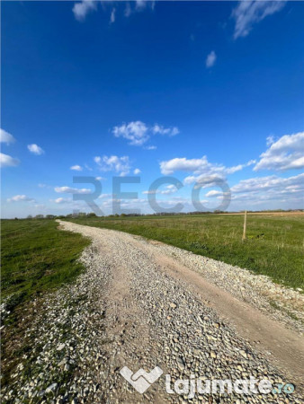 RECO teren de in zona Tarian 