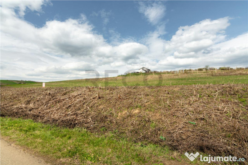 Teren intravilan Cetariu 