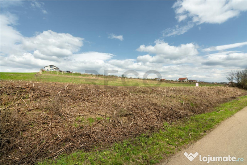 Teren intravilan Cetariu 