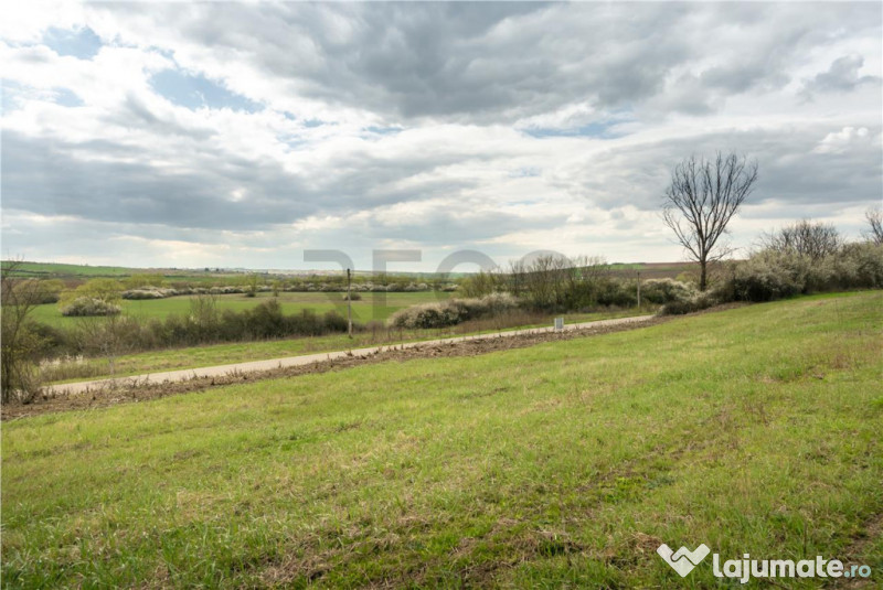 Teren intravilan Cetariu 