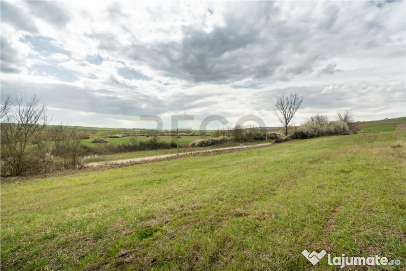 Teren intravilan Cetariu 