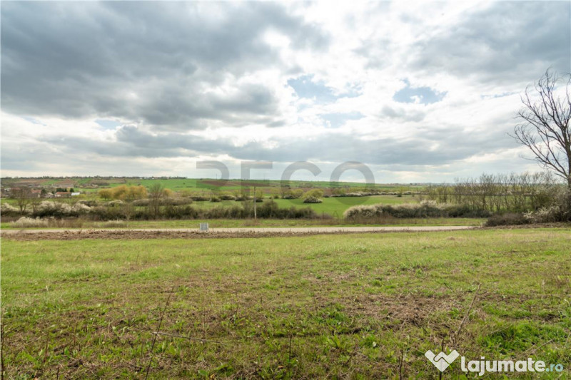 Teren intravilan Cetariu 