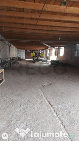 RECO Hale predestinate prelucrarea lemnului, loc. Auseu, sat 