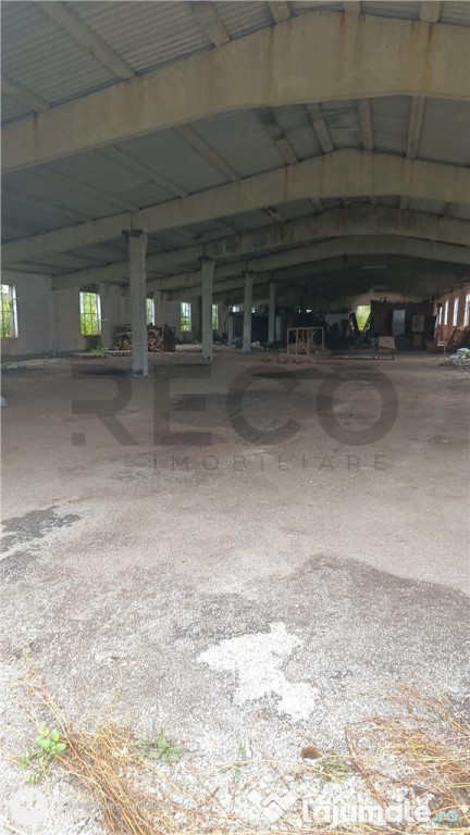 RECO Hale predestinate prelucrarea lemnului, loc. Auseu, sat 