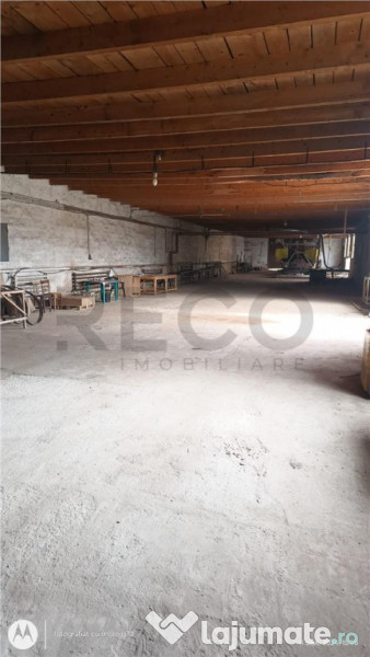 RECO Hale predestinate prelucrarea lemnului, loc. Auseu, sat 