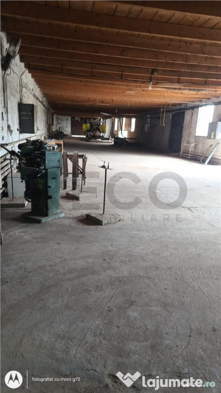 RECO Hale predestinate prelucrarea lemnului, loc. Auseu, sat 